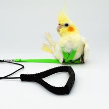 Pet Bird Parrot Harness And Leash Parrot Flight Light Rope Strap-type Flying Rope Out Training Rope Bird Parrot Supplies 2024 - buy cheap