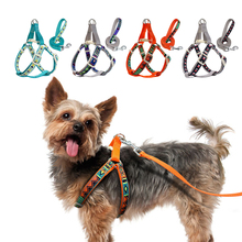 No-Pull Pet Dog Harness and Leash Set Nylon Printed Dog Harness Lead for Small Medium Dogs Puppy Training Walking Vest Harness 2024 - buy cheap