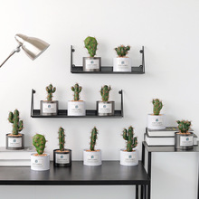 Decoração de plantas de simulação, cactus em vaso interno, ornamentos de ferro forjado, grama falsa para bonsai 2024 - compre barato