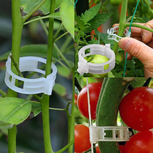 50/100 шт 30 мм пластиковые опоры для растений зажимы для томатов Висячие шпалеры лоза соединяет растения мальчиковые овощи садовое украшение 2024 - купить недорого