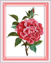 Peony cross stitch kit flower 18ct 14ct 11ct count printed canvas stitching embroidery DIY handmade needlework 2024 - buy cheap