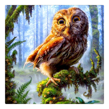 orest Owl Needlework Square Embroidery Diy Full Drill Diamond Painting Rhinestone Icon Decoration Painting Christmas Gift ZX 2024 - buy cheap