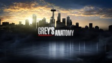 Home Decor Greys Anatomy TV Show 6-Silk Art Poster Wall Sticker Decoration Gift 2024 - buy cheap