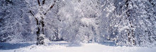 Completo quadrado 5d pintura de diamantes inverno paisagem árvore de neve bordado de diamantes arte de mosaico decoração 2024 - compre barato