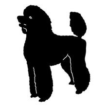 9.7*12.8CM Poodle Dog Car Tail Stickers Reflective Vinyl Decal Car Styling Truck Accessories Black/Silver S1-0961 2024 - buy cheap