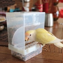 Автоматическая кормушка для птицы, акриловый пищевой контейнер для попугаев, голубей, брызгонепроницаемый 2024 - купить недорого