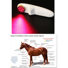 Veterinary Laser Pain Relief Therapy LLLT  650nm 808nm infrared Red Light therapy Body wound healing massage 2024 - buy cheap
