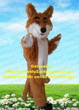 Long Fur Wolf Coyote Jackal Dhole Fox Mascot Costume Adult Cartoon Character Popular Campaign Business Promotion zz6395 2024 - buy cheap