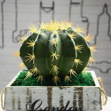 Cactus Artificial de suculento, plantas de simulación, flores falsas, bricolaje, decoración del hogar, plantas, paisaje, pera Espinosa, planta verde 2024 - compra barato