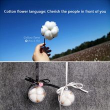 Car Accessories Interior White Cotton Flower Language Car Pendant Real Flower Dried Flower Empty Hanging Bottle Fashion Pendant 2024 - buy cheap