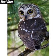 Zhui Star Full Square Diamond 5D DIY Diamond Painting "Big eye owl" 3D Embroidery Cross Stitch Mosaic Painting Decor BK 2024 - buy cheap