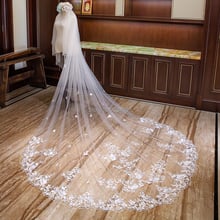 Two-Layer Lace Wedding Veil with Champagne Appliques Stunning Long Bridal Veils with Comb AX2019 2024 - buy cheap