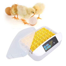 Incubadora de ovos automática, led, 32 ovos, incubadora 2024 - compre barato