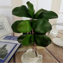 Phalaenopsis-Hojas de orquídea para decoración, hojas de orquídeas, material auxiliar, real, 1 unidad 2024 - compra barato
