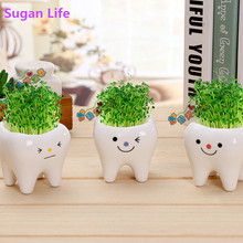 Cute tooth pot vase creative ceramic cartoon tooth flower pot succulent flower pot home decoration crafts dental clinic gift toy 2024 - buy cheap