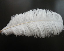 Venda branco pena de avestruz 14 - 16 " 35 - 40 cm, Jóias DIY acessórios / decoração de casamento 2024 - compre barato
