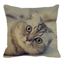 XUNYU-funda de cojín de lino para sala de estar, cubierta de cojín de decoración de sofá plegable de 45cm x 45m, gato, escocés, YH006 2024 - compra barato