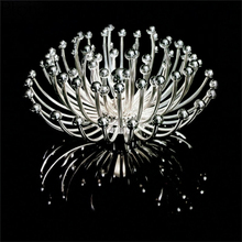 Modern Jellyfish Ceiling Lights Luminaria Led Ceiling Lamp Indoor Lighting Fixtures for Living Room Bedroom Study Loft Decor E27 2024 - buy cheap