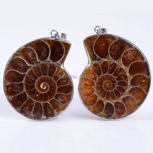 40mm - 45mm Metal Wrapped Natural Ammonite shell stone Pendant Bead 10 Pairs/Lot wholesale 2024 - buy cheap