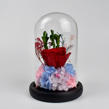 UBUY Красочные розы сохраненные свежими цветок с стекло купол для украшения дома 2024 - купить недорого