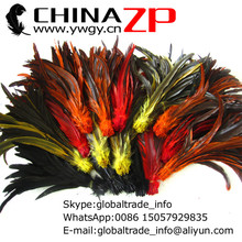 CHINAZP fábrica al por mayor 500 unids/lote 30 ~ 35 cm (12 ~ 14 pulgadas) plumas de cola de gallo de Color mezclado teñido de calidad superior de longitud 2024 - compra barato