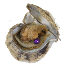 Perlas de ovaladas de Akoya para joyería, regalos de cumpleaños por mayor de 20 piezas, púrpura Noble, agua salada, envasado al vacío, ABH674 2024 - compra barato