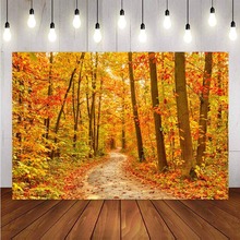 Mehofond Photography Background Fall Autumn Forest Path Tree Photo Backdrops Decor Photocall Backdrop Photo Studio 2024 - buy cheap