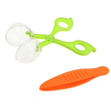 Insect Biology Study Tool Set Plastic Scissor Clamp Tweezers Nature Exploration Outdoor Toys for Children 2024 - buy cheap