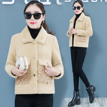 Fashionable female clothing Furs clothes for women plush fur coats Women's fur winter jacket Imitation Mink Warm short coat 4293 2024 - buy cheap