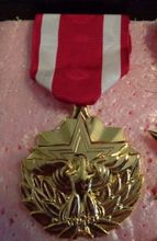 Medalha medalha de serviço atacado eua serviço nacional barato eua medalha medalhas de serviço serviço imperial 2024 - compre barato