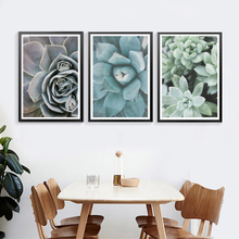 Impresiones en lienzo de decoración artística de plantas suculentas, póster y fotografía moderna, pintura en lienzo de Cactus botánico, imagen de pared, decoración artística 2024 - compra barato