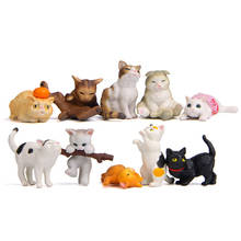 10pc bonito gato conjuntos mini brinquedo animal casa ornamento artesanato fada bonsai decoração em miniatura boneca bolo decoração diy acessórios 2024 - compre barato