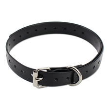 Petrainer 998DB Strap Black Dog collar 2024 - buy cheap