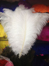 Penas brancas de avestruz 50 peças, 14-16 polegadas/35-40 cm, decorações de casamento faça você mesmo 2024 - compre barato