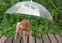 Оптовая продажа, товары для домашних животных 10 шт./лот, товары для прогулок под дождем, зонт для сухой собаки, удобный, полезный, горячая распродажа 2024 - купить недорого