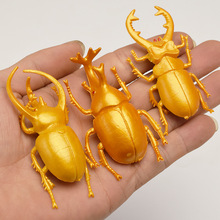 Brinquedo de simulação beetle 5.5cm, 5 peças, modelo realista, simulação de insetos, berçário de brinquedo, auxiliares de ensino, coleção de brinquedo, vestir 2024 - compre barato