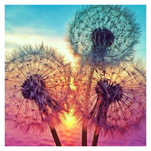 5d diy Square Full Diamond embroidery colorful dandelion diamond painting Cross Stitch full square Rhinestone mosaic decoration 2024 - buy cheap