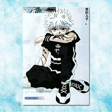 Hunter x Hunter Hot Anime Art Silk Poster Canvas Print 13x20 24x36 Inch-004 2024 - buy cheap