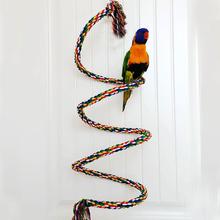 1m/1.5m/2m papagaio pássaro brinquedos torcido colorido corda de algodão pássaro escalada brinquedo em pé corda sino pássaro gaiola decoração papagaio brinquedo 2024 - compre barato