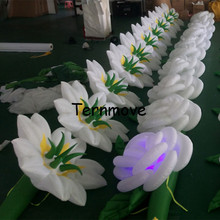Decoración Para flores inflables gigantes de 10m de longitud, cadena de tubo inflable de rosas para decoración de bodas (2 unids/lote) Envío Gratis 2024 - compra barato