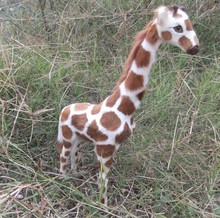 Имитация жирафа, модель животного, 30x20 см, игрушка, полиэтилен и мех, ручная работа, реквизит, декоративный подарок A612 2024 - купить недорого