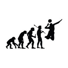 15.2CM*7.9CM Personality Evolution Volleyball Vinyl Car Stickers Black Silver S2-0027 2024 - buy cheap