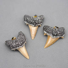 P15080501 Big Real Shark Tooth Teeth Pendant Charm with Rhinestone Pave CAP 2024 - buy cheap