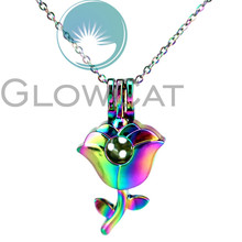 CC847 Lovers' Rainbow Colors Rose Flower Beads Cage Pendant Aromatherapy Essential Oil Diffuser Pearl Cage Locket Necklace 2024 - buy cheap