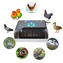 Автоматический инкубатор для яиц, интеллектуальный цифровой инкубатор для цыплят и птиц, 12 яиц 2024 - купить недорого