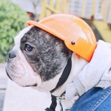 Pet dog Cat Helmet Hat Cap Dog Cat Costume Accessory Pet Supplies motorcycle ABS Plastic dog toy Helmet cap sunglasses 2024 - buy cheap