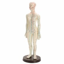Human Body Acupuncture Model Female Meridians Model Chart Book Base 48cm 2024 - buy cheap