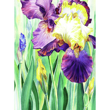 Full Round Diamond mosaic of irises Sale 5D DIY Diamond painting Cross stitch watercolor iris flowers Full Square 3D embroidery 2024 - buy cheap