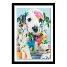 5d diy Diamond embroidery  colorful  dog  diamond painting Cross Stitch full square drill Rhinestone  home 2024 - buy cheap