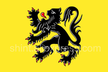 Флаг Фландрии Бельгия 3ft x 5ft полиэстер баннер Летающий 150*90 см пользовательский открытый 2024 - купить недорого